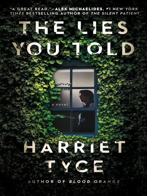 Cover image for The Lies You Told